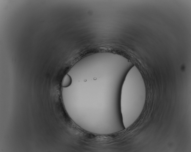 X0000090440707200707131030