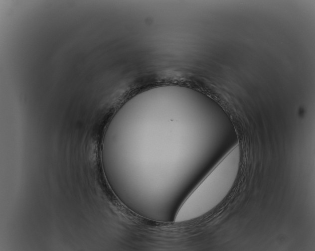 X0000090440708200707131030