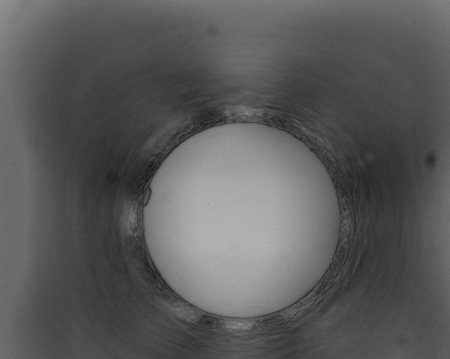 X0000090440709200707131030