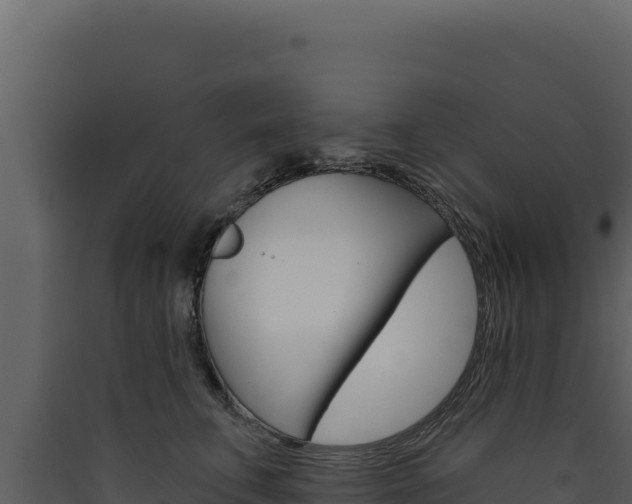 X0000090440711200707131030