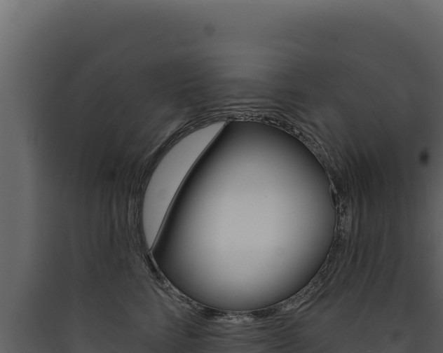 X0000090440712200707131030