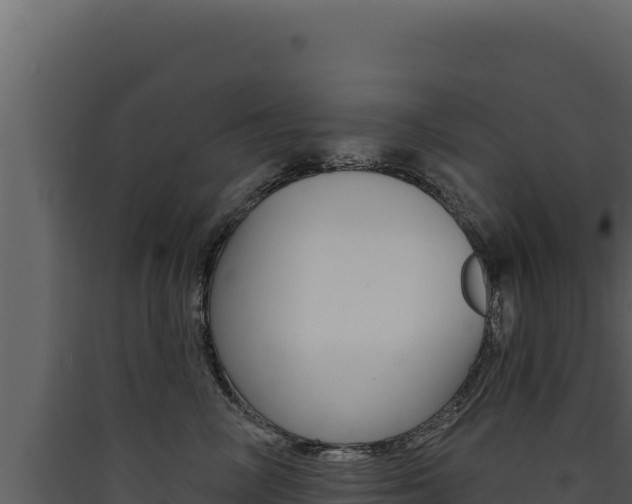 X0000090440714200707131030