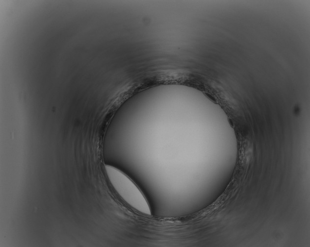 X0000090440716200707131030