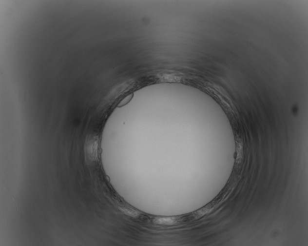 X0000090440717200707131030