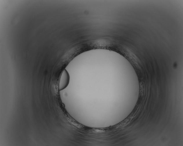 X0000090440718200707131030