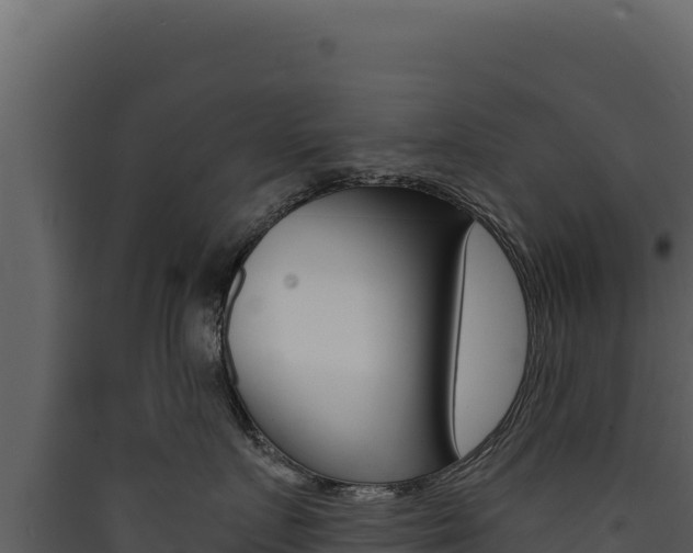 X0000090440719200707131030