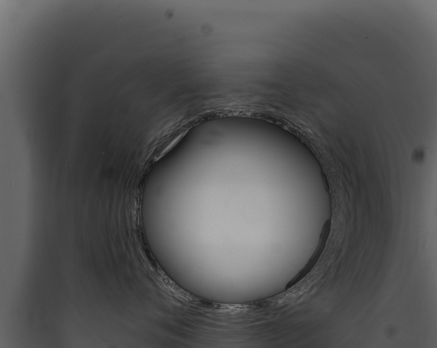 X0000090440720200707131030