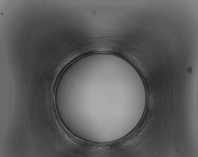 X0000090440721200707131029
