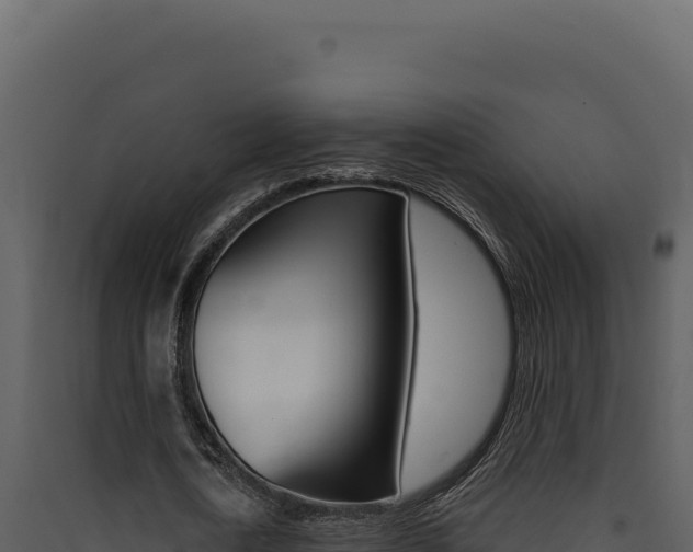 X0000090440722200707131029
