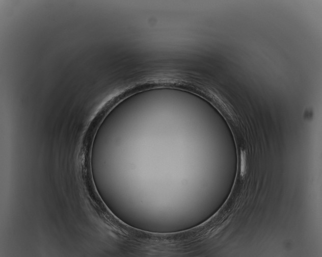 X0000090440723200707131029