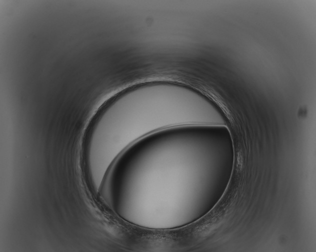 X0000090440724200707131029