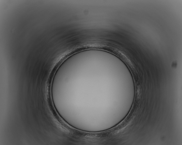 X0000090440725200707131029