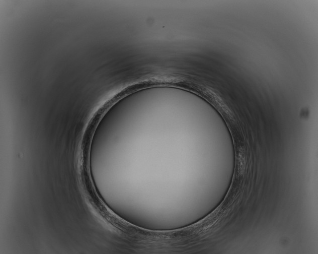 X0000090440726200707131029