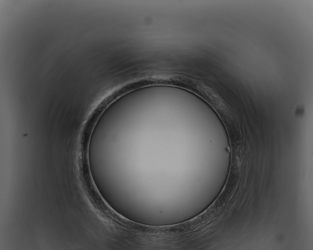 X0000090440728200707131030