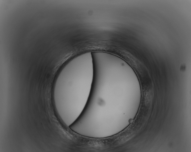 X0000090440729200707131030