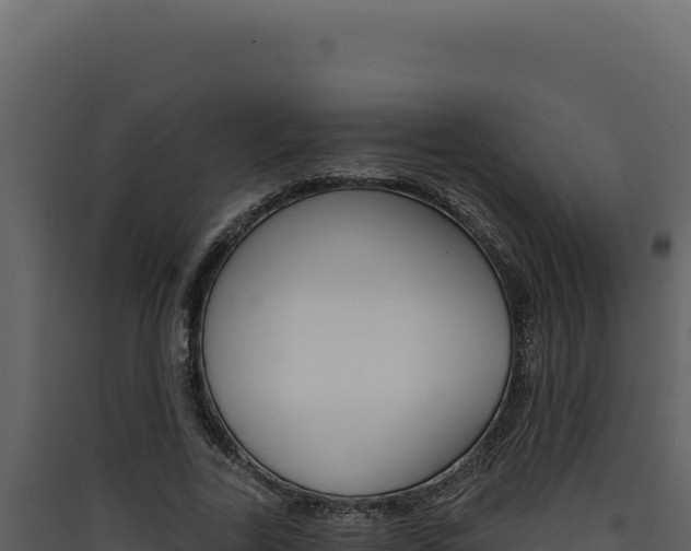 X0000090440731200707131030