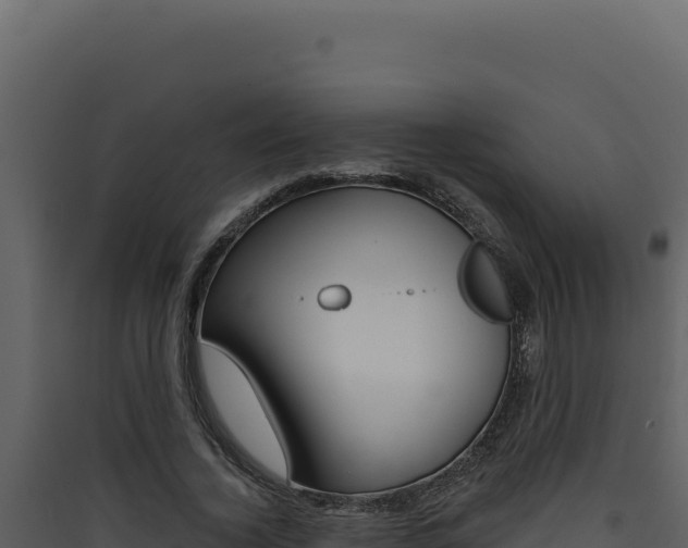 X0000090440732200707131030