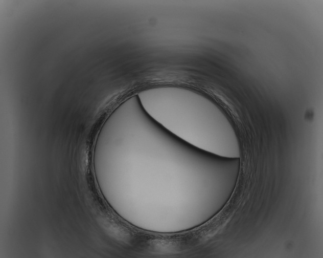 X0000090440733200707131030