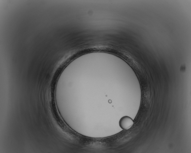 X0000090440734200707131030