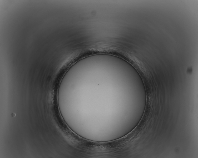 X0000090440735200707131030