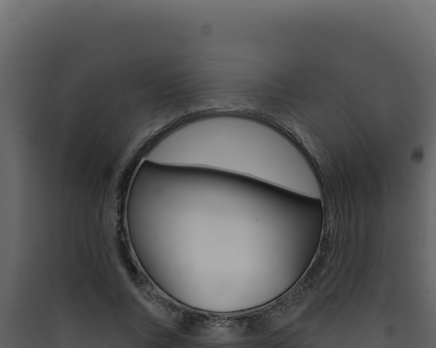 X0000090440736200707131030