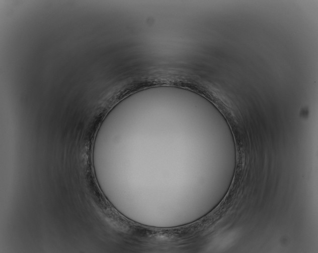 X0000090440737200707131030