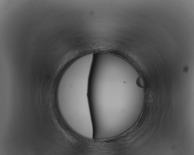 X0000090440738200707131030