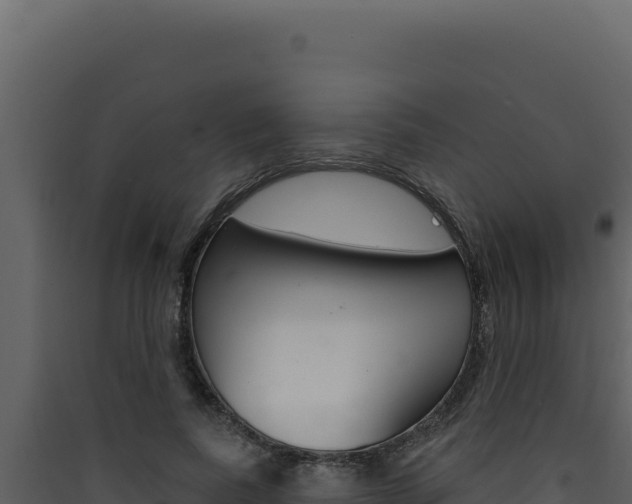 X0000090440739200707131030