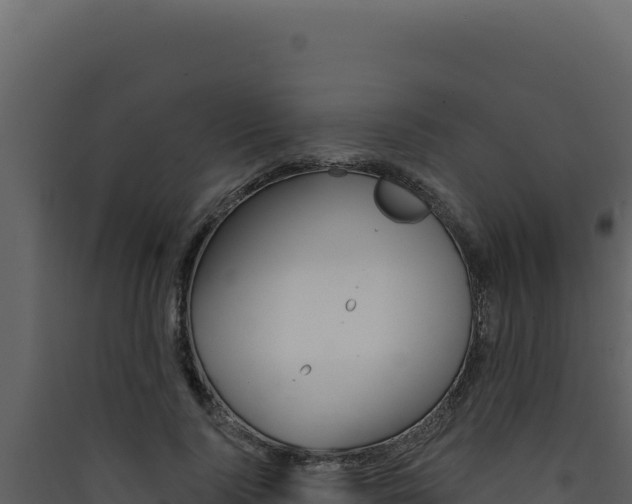 X0000090440740200707131030