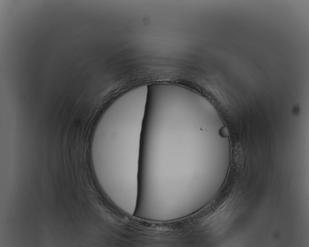 X0000090440741200707131030