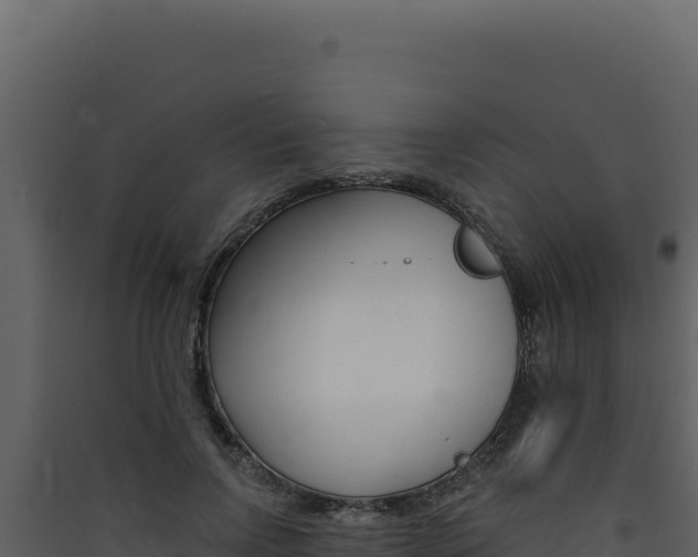 X0000090440742200707131030