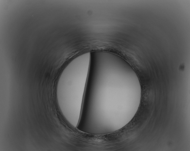 X0000090440743200707131030