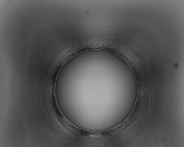 X0000090440744200707131030