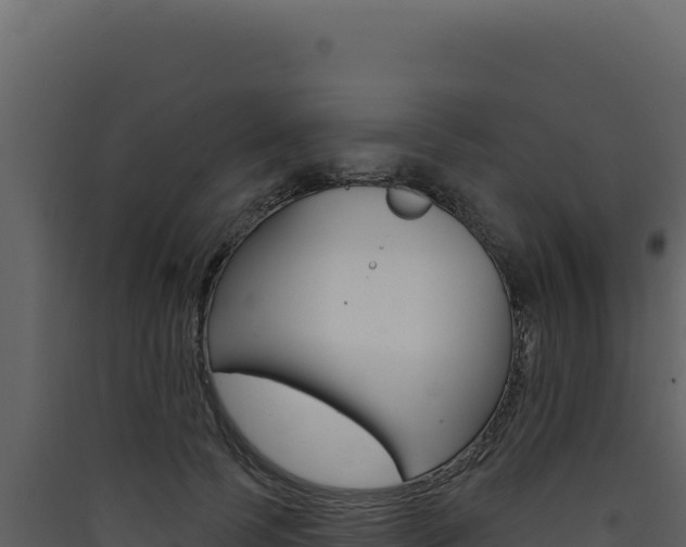 X0000090440745200707131030