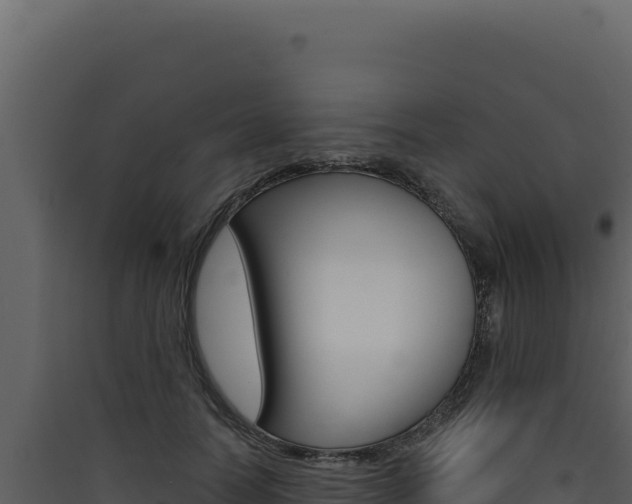 X0000090440746200707131030
