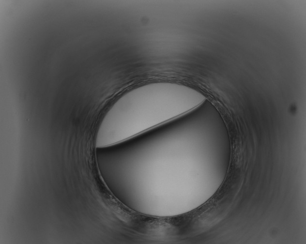 X0000090440747200707131030
