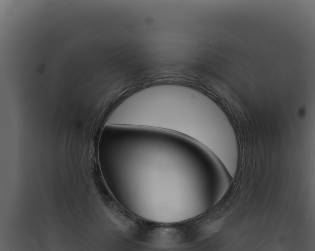 X0000090440748200707131030