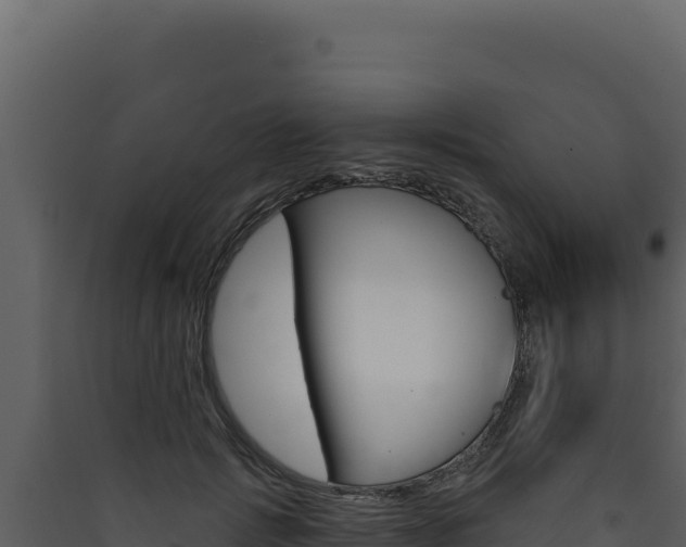 X0000090440749200707131030