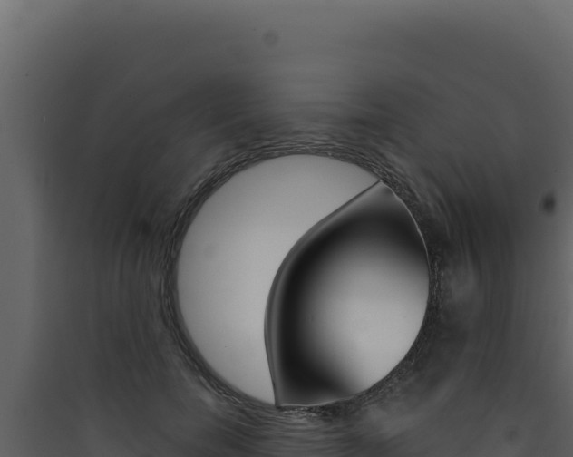 X0000090440750200707131030