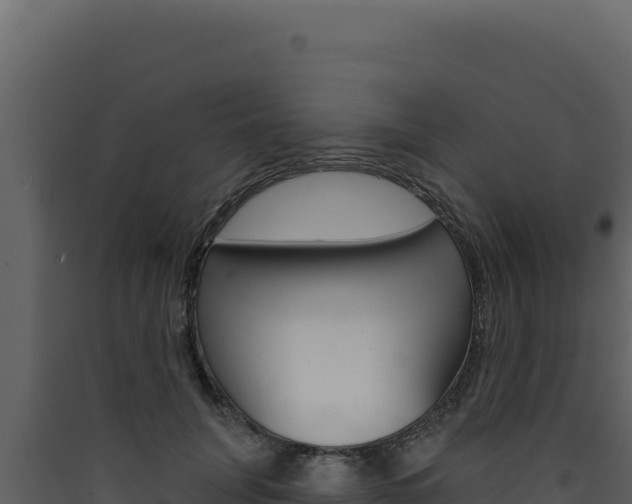 X0000090440751200707131030