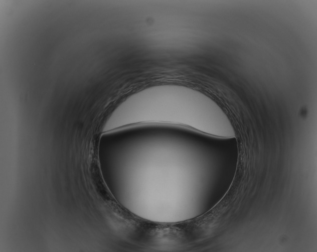 X0000090440752200707131030
