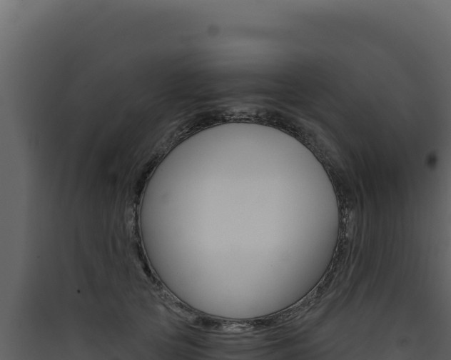 X0000090440753200707131030