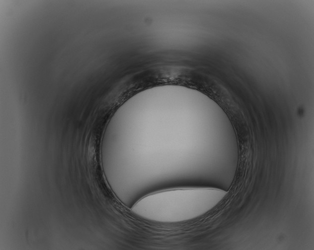 X0000090440754200707131030