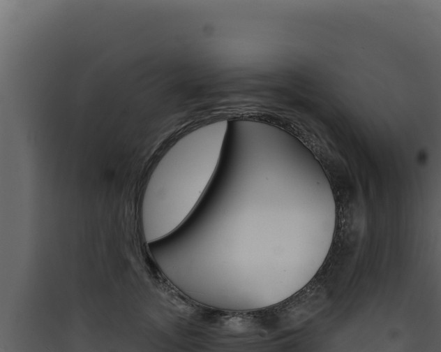 X0000090440755200707131030