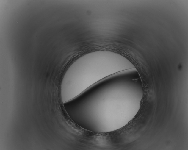 X0000090440756200707131030