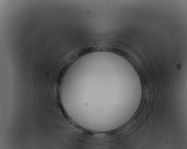 X0000090440757200707131030