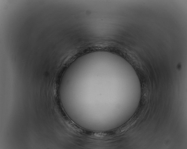 X0000090440758200707131030