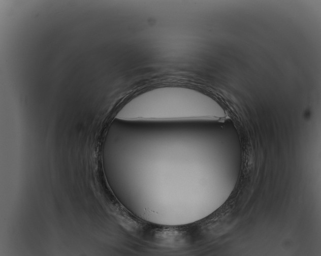 X0000090440759200707131030