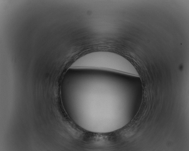 X0000090440760200707131030