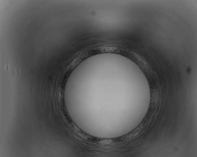 X0000090440761200707131030